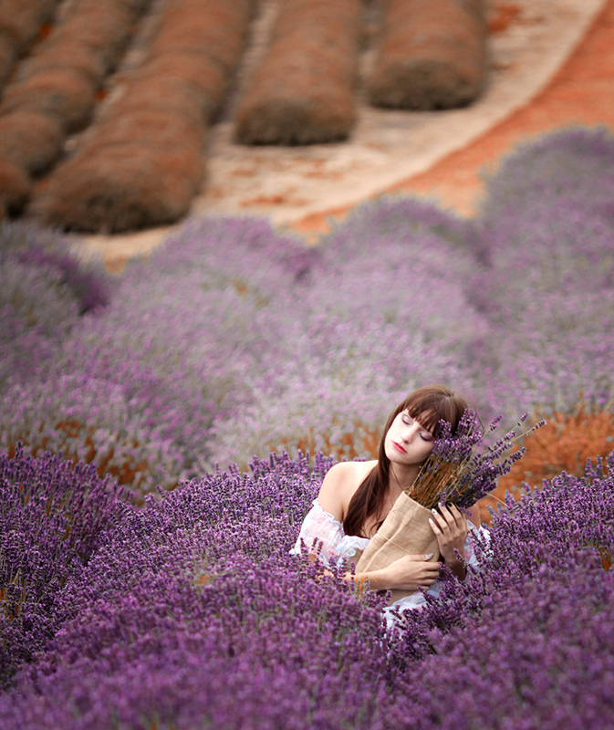 Lavender day