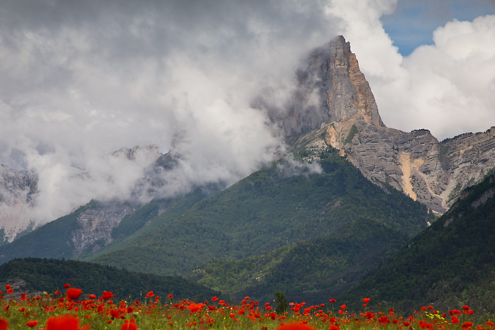 Alpejska wiosna.