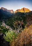 Mountain Garden I