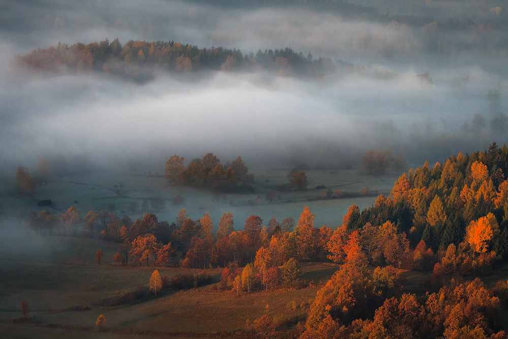 I\'m walking through the mystic forest....