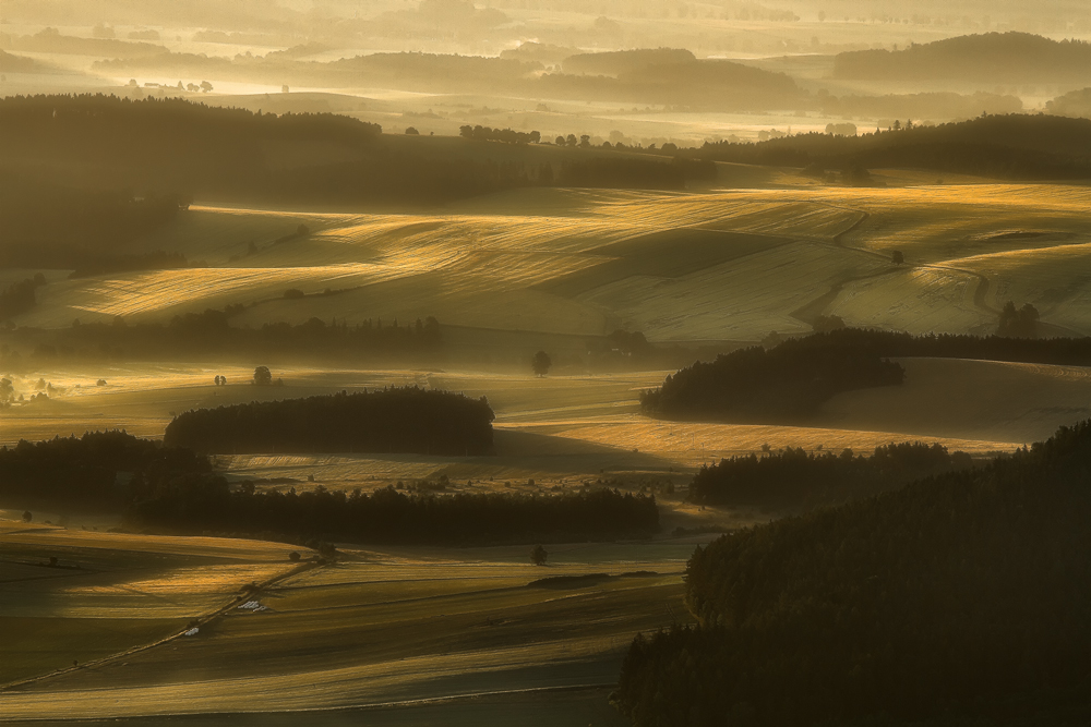 Fields of Gold.