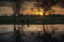 Kakadu...