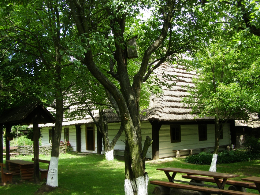 Skansen w Markowej