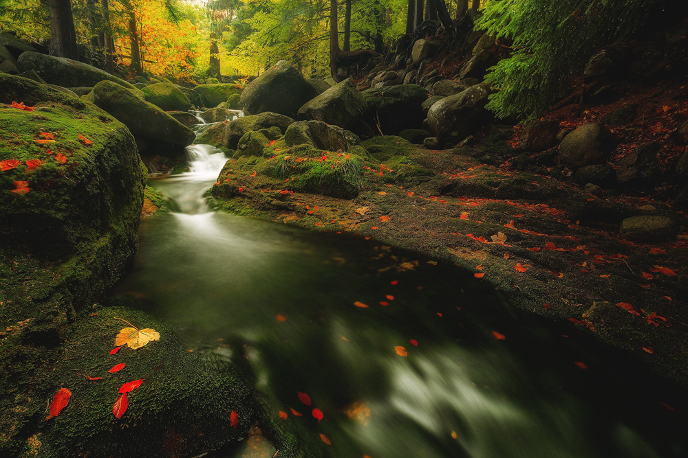 The Magical Sound of Waterfall