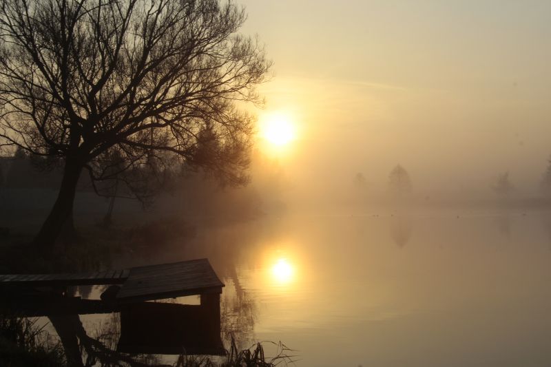 dzień dobry