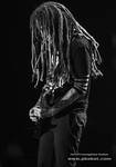 Brian &#8222;Head&#8221; Welch, Korn