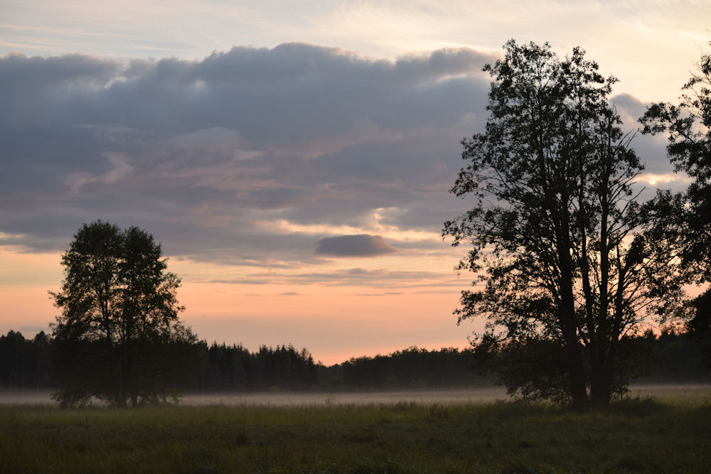 Koniec lata