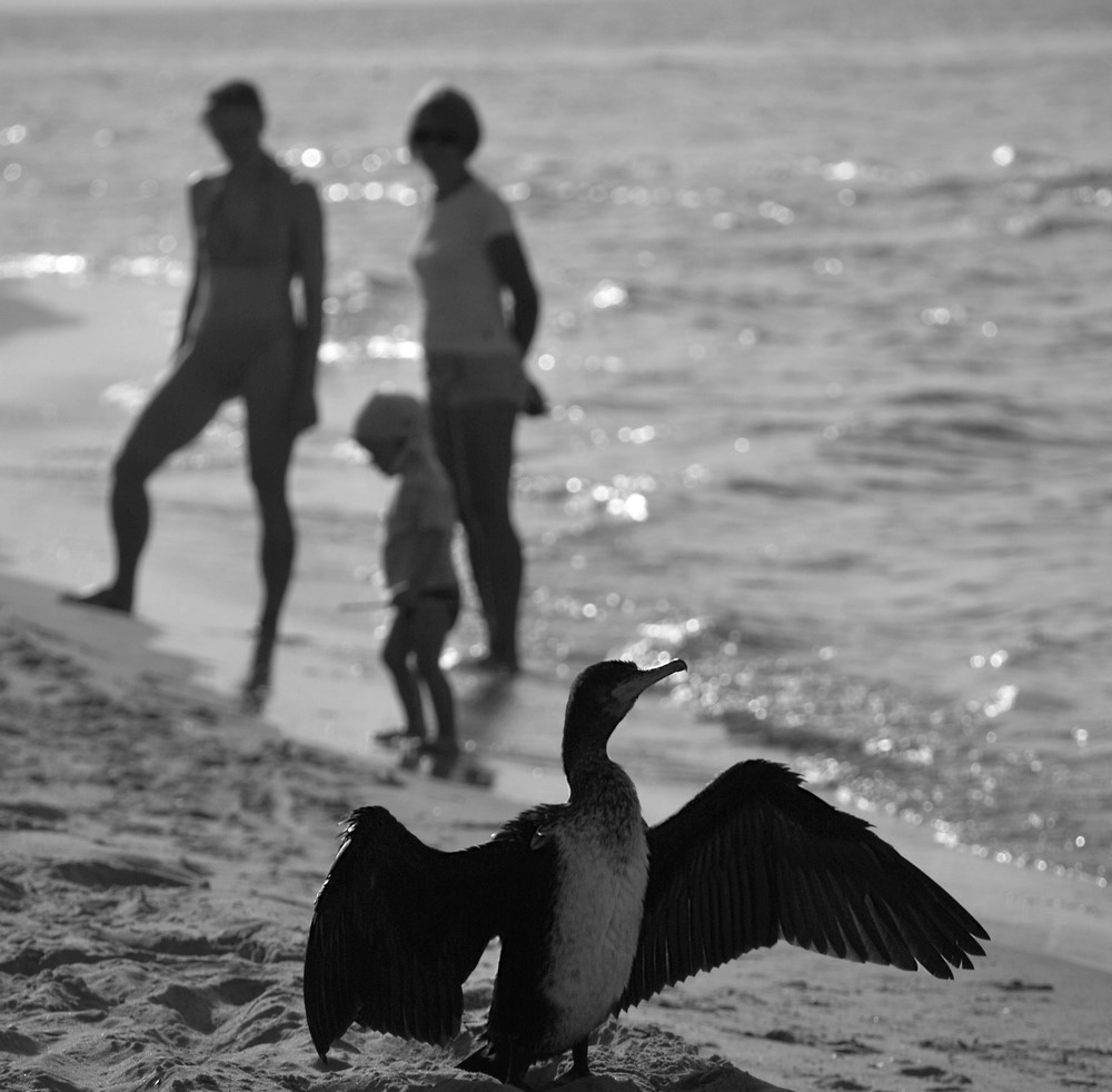 Na plaży