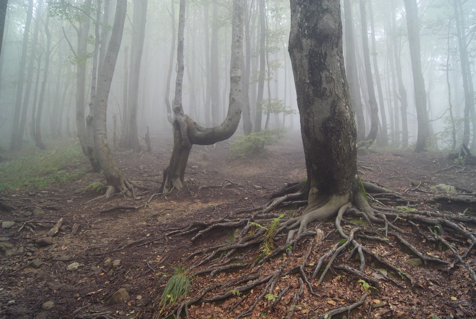 Azymut Bieszczady