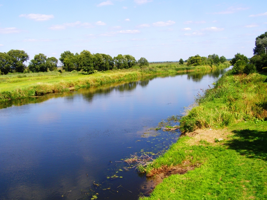 Narew w Tykocinie