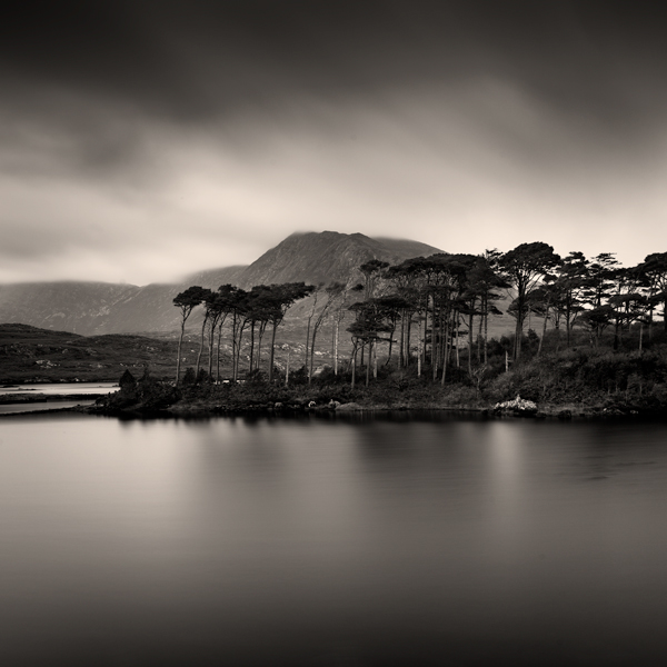 Pine Island, Connemara