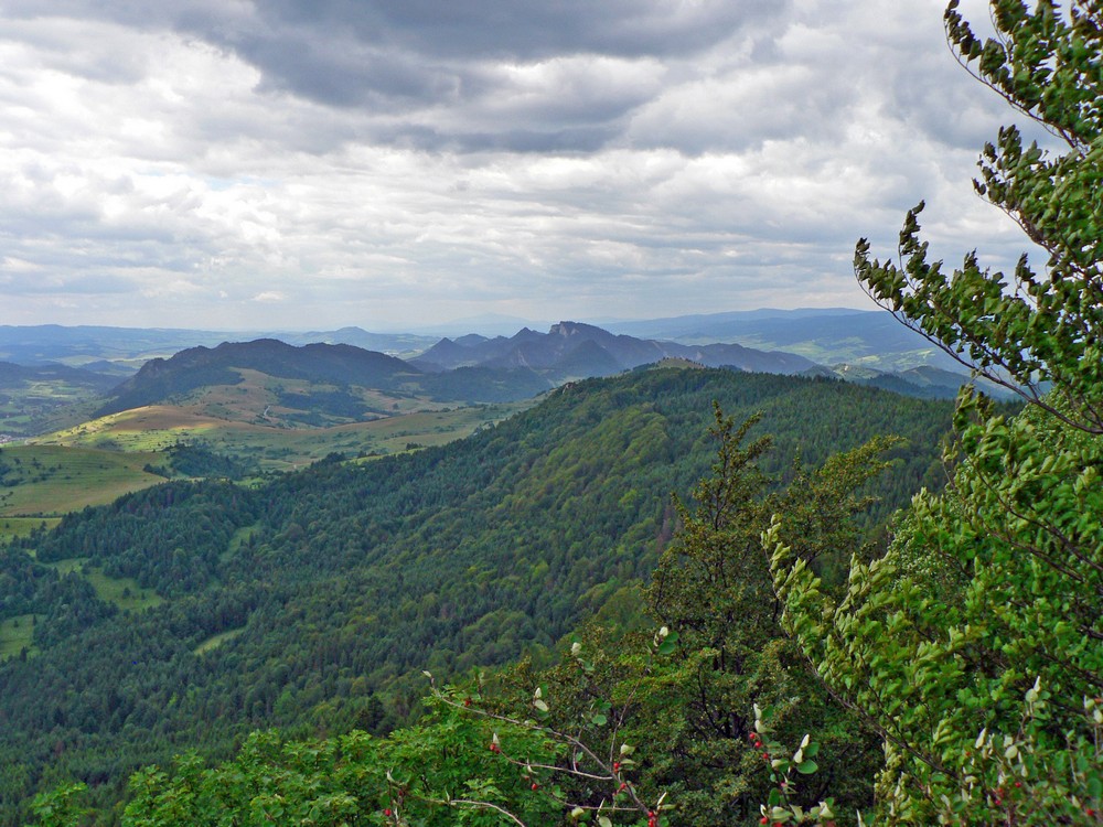 Pieniny