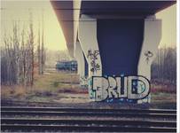 Brud