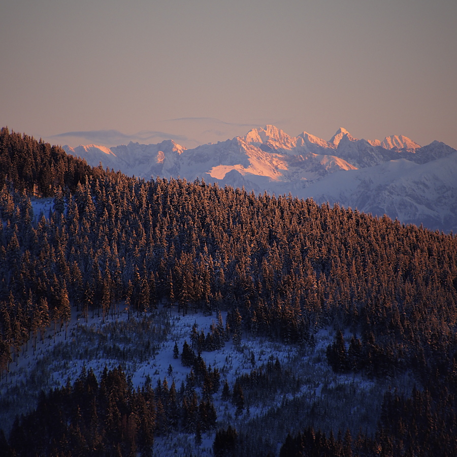 Tatry z Beskidu Żywieckiego