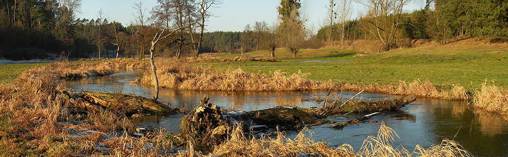 Dolina Głuszynki