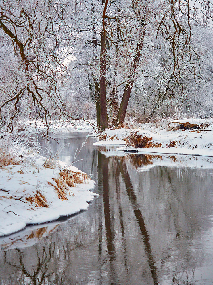 Nad Bystrzycą