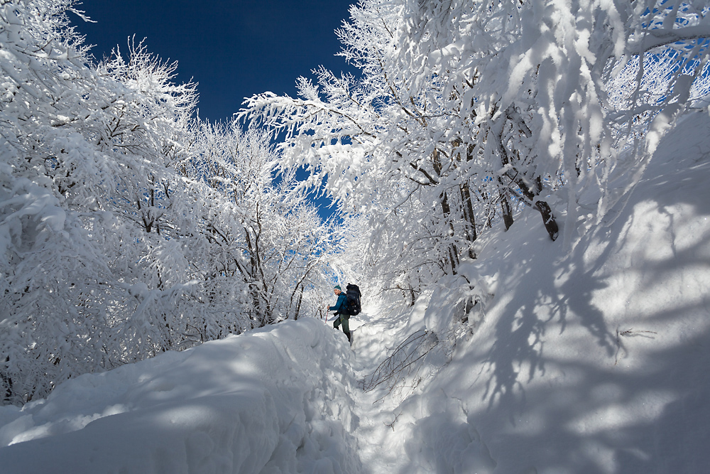 Bieszczady