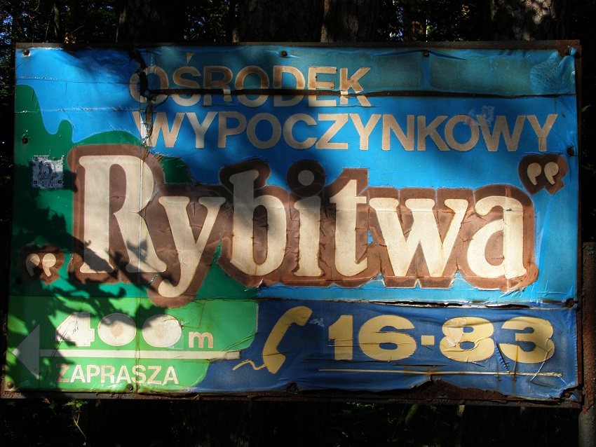 Rybitwa