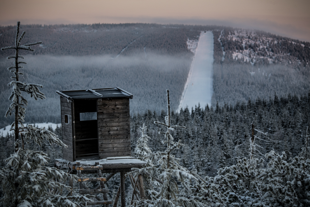 Gdzieś w Karkonoszach