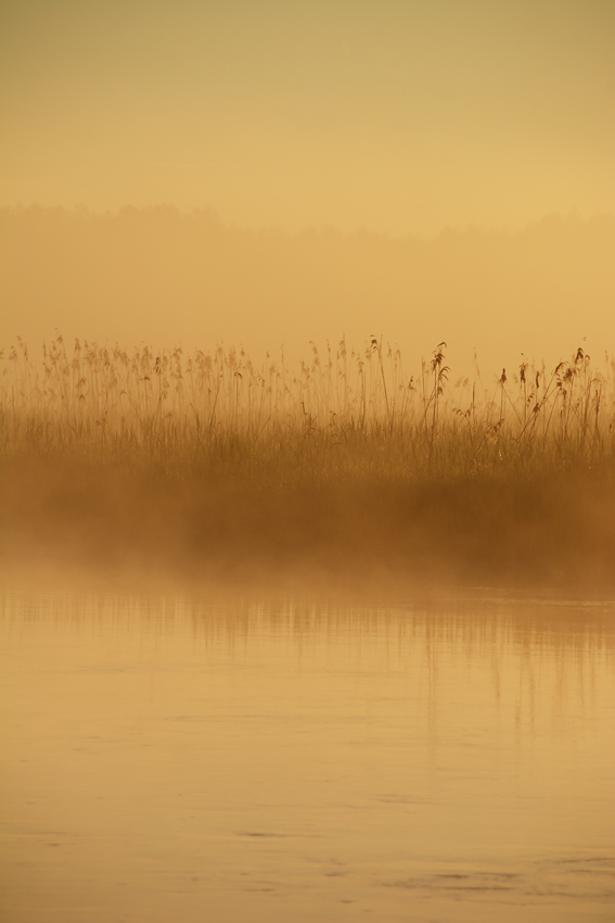 Na Podlasiu 5