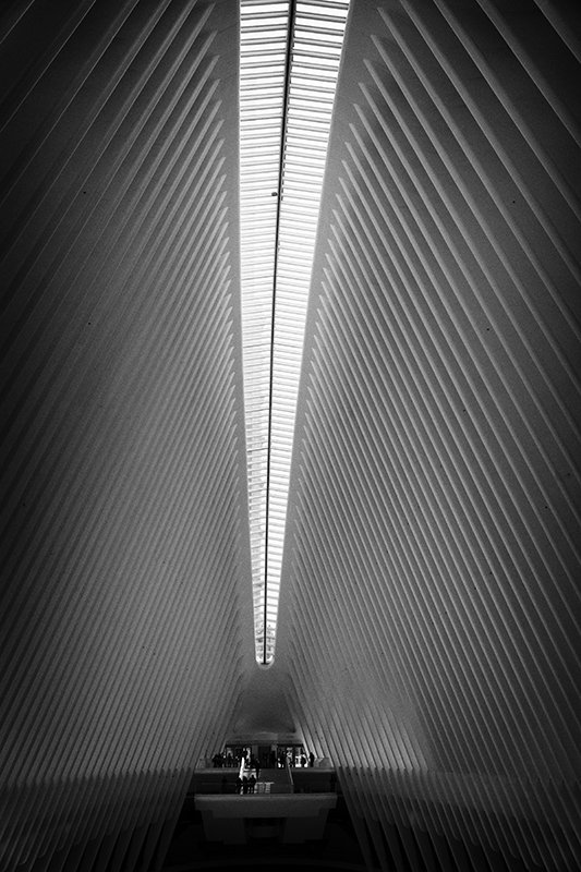 Inside the Oculus - NYC