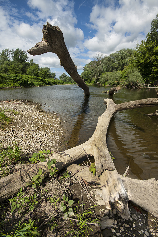 Nad Odrą