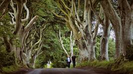 Dark Hedges-śladami Gry o Tron