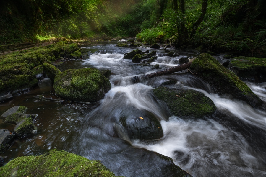 Clare Glens - Irlandia