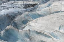 Mrówki na lodowcu Jostedalsbreen.