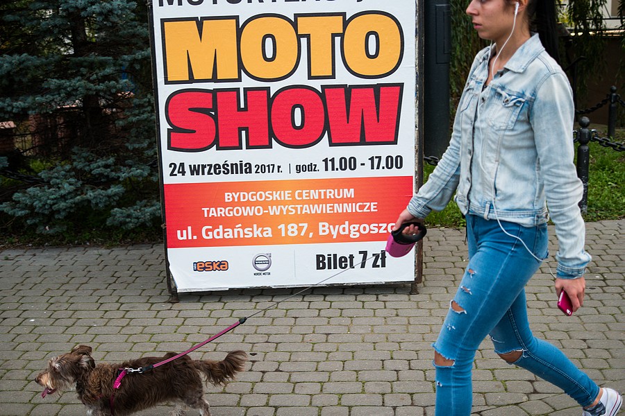 Moto Show