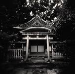 Shinto Shrine, Kyoto