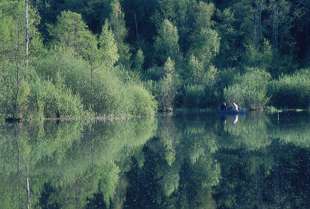 Białowieża, jez. Topiło