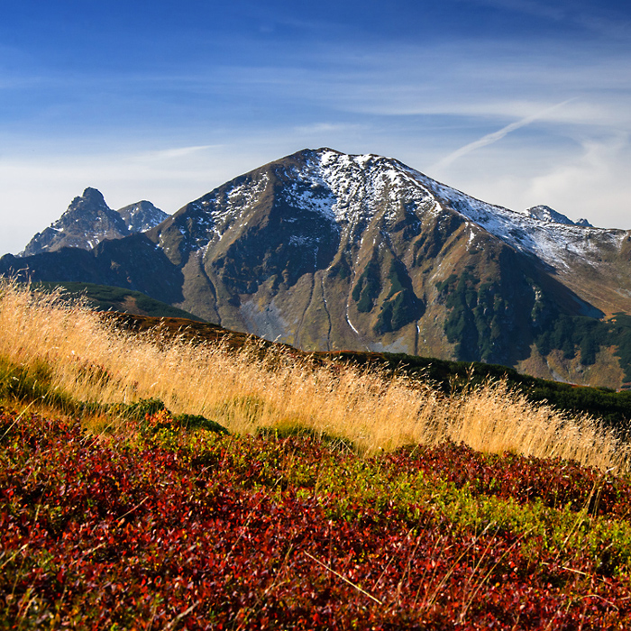 Tatry