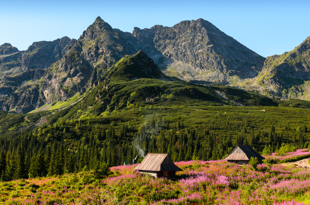 Tatry - Dolina Gąsienicowa