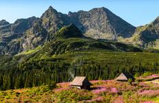 Tatry - Dolina Gąsienicowa