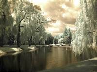 Park IR