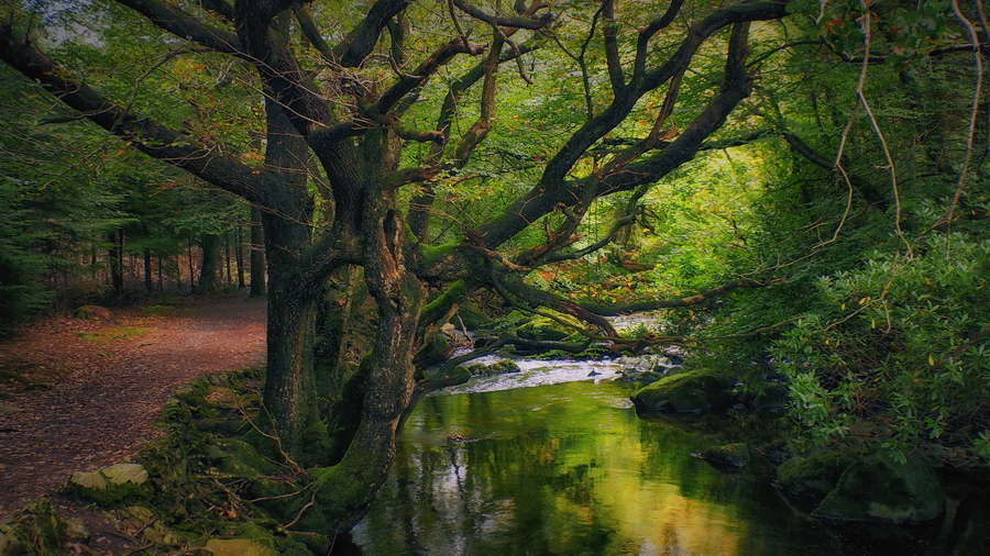 autumn - N.Ireland