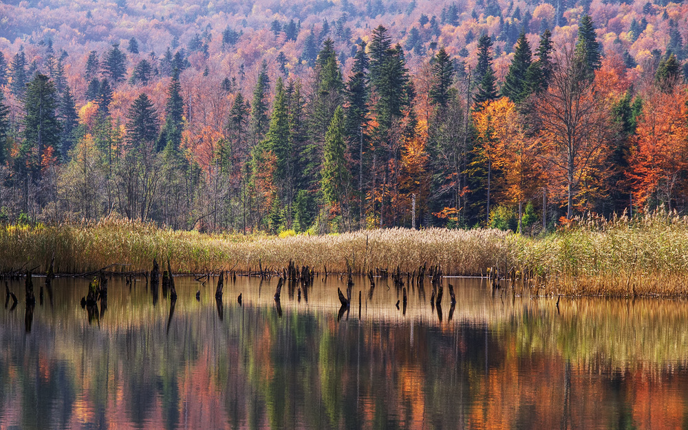 Jezioro Bobrowe