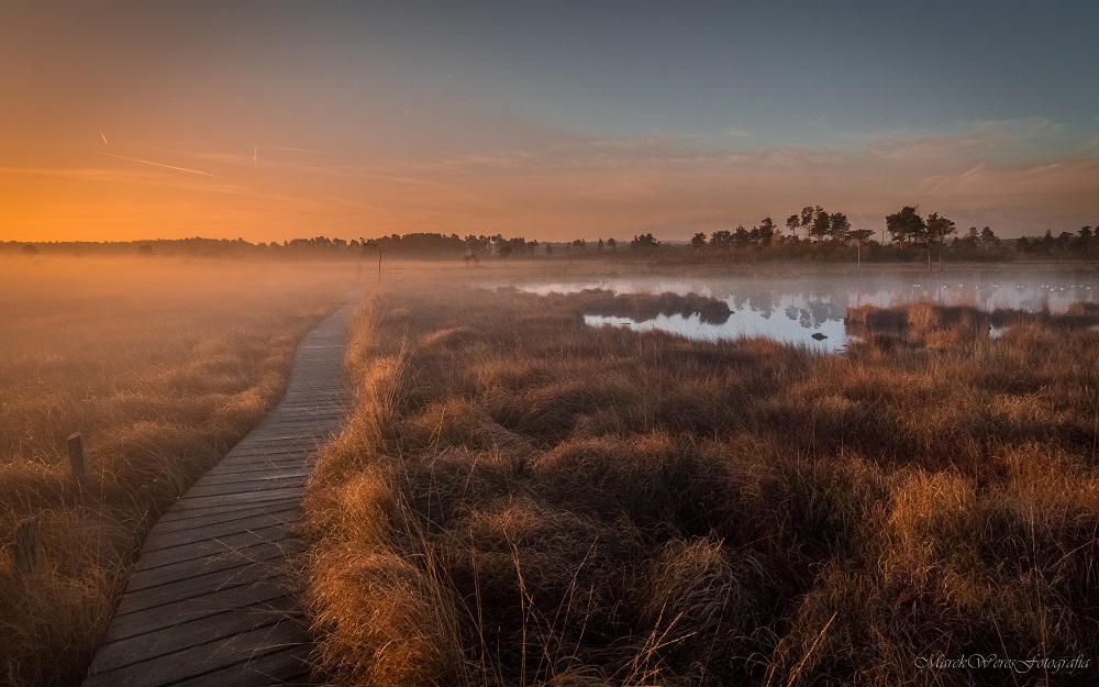 Wetlands....