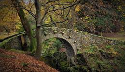 autumn - N.Ireland