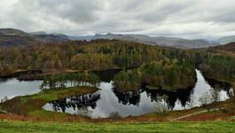 Tarn Hows