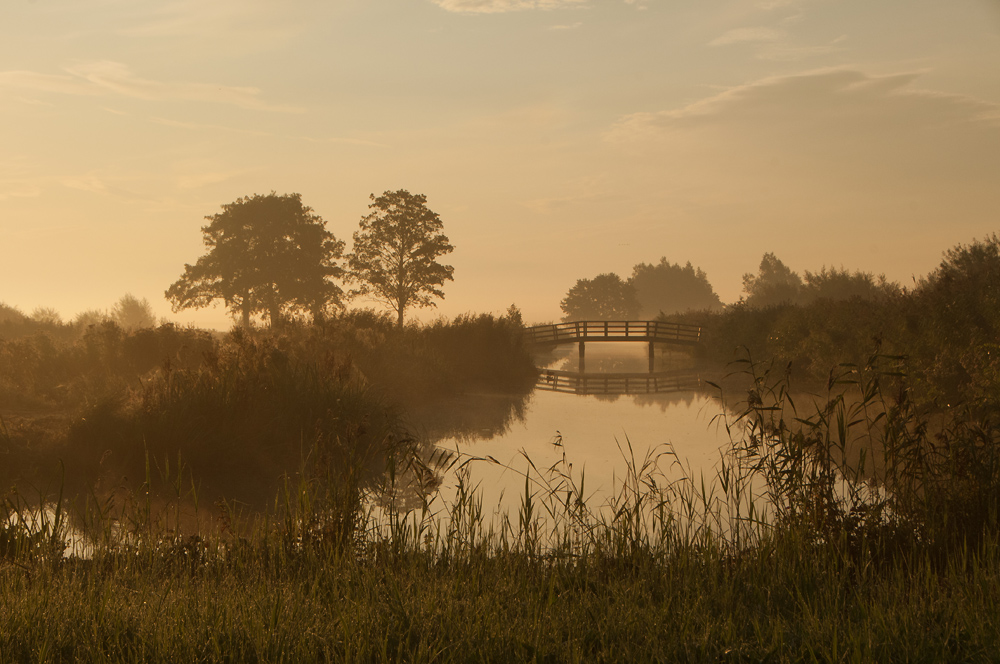 Poranek nad jeziorem Reeuwijk