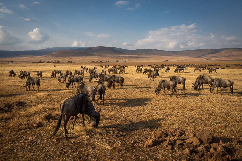 O zachodzie w Ngorongoro