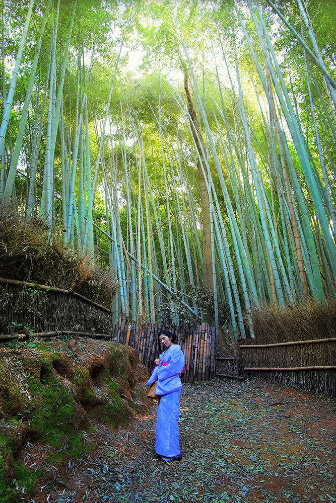 Arashiyama Geisha