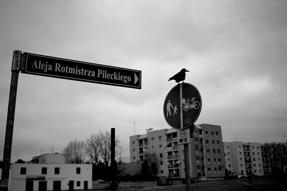 Rotmistrz...