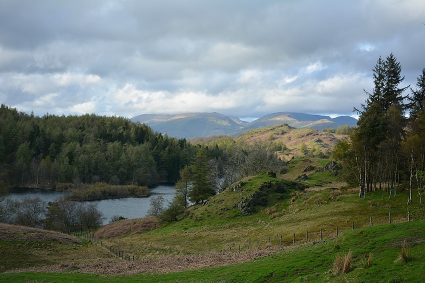 Tarn Hows