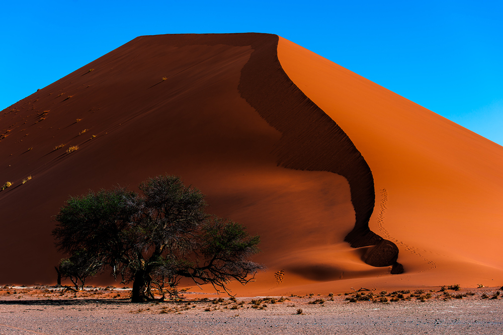 Namib-Naukluft