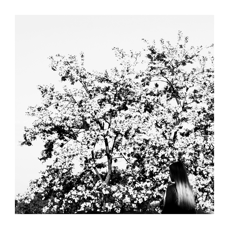 Girl in a Blooming Orchard 1