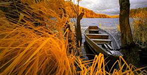 It was a warm autumn. Infrared photography.