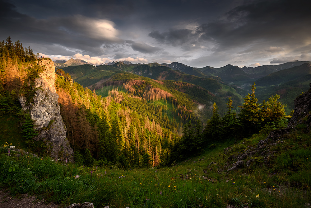 Tatry